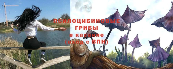 бутират Карталы